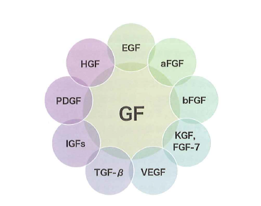 逆龄之美 人体干细胞技术如何重塑肌肤新生？