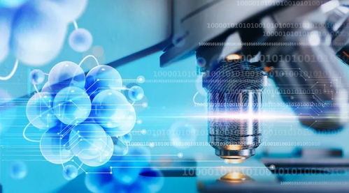 细胞的结构与功能及人体干细胞技术的开发应用