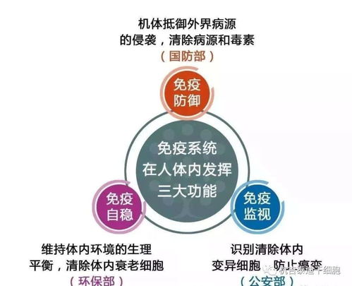 面对疾病 中科干细胞是调节免疫系统的绝佳方案